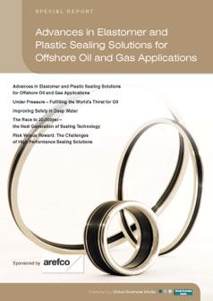 Advances in Elastomer and Plastic Sealing Solutions for Offshore Oil and Gas Applications