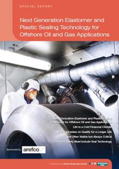 Next Generation Elastomer and Plastic Sealing Technology for Offshore Oil and Gas Applications